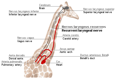 Figure 2f