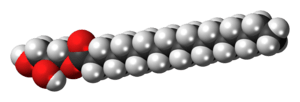 Space-filling model of the glycerol monostearate molecule