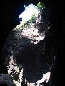 Gomantong Caves