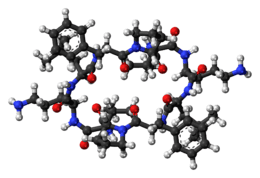 Ball-and-stick model of the Gramicidin S molecule