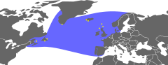 A map showing the range of the great auk, with the coasts of North America and Europe forming two boundaries, a line stretching from New England to northern Portugal the southern boundary, and the northern boundary wrapping around the southern shore of Greenland