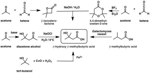 Diagram of HMB synthetic routes