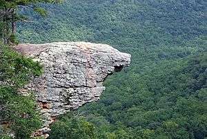 Weathered eroded bluff resembling a bird's beak juts out from a bluffline on a background of green trees