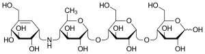 Haworth projection of acarbose