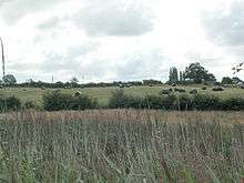 Field of hay with green field beyond