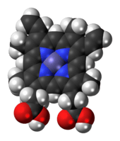 Space-filling model of the heme B complex