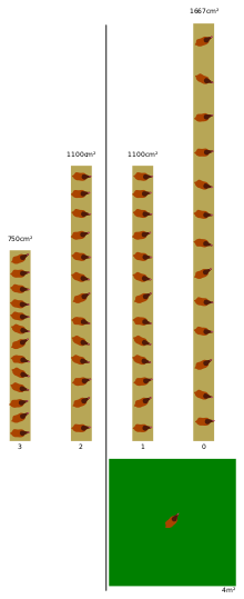 A diagram showing amount of m² per 13 hens for different levels: from 3 (left) to 0 (right).