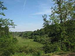 An overgrown field surrounded by bushes and trees under a blue sky