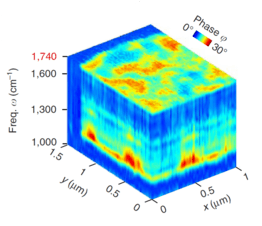 hyperspectral nano-FTIR image