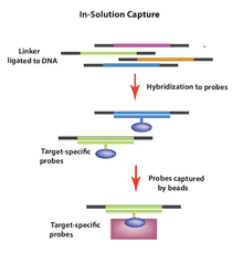 In-Solution Capture