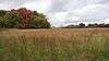 Ingomar Mound