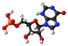 Ball-and-stick model of the inosinic acid molecule