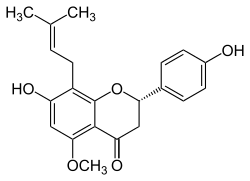 Chemical structure of isoxanthohumol.