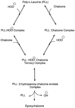 Ternary Complex Formation in the Juliá–Colonna Epoxidation