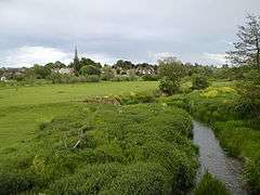 Kingsthorpe Meadow