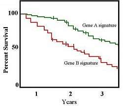 Kaplan-Meier survival plot