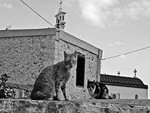 Koutouloufari Traditional Village