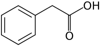 Skeletal structure diagram