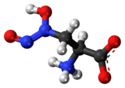 Ball-and-stick model of the L-alanosine molecule as a zwitterion