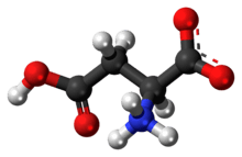 Ball-and-stick model of the L-aspartic acid molecule as a zwitterion