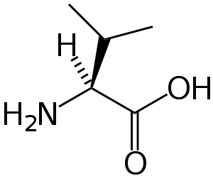 A chemical structure diagram of valine