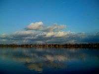 A bright blue lake with a line of cypress trees along the horizon and puffy white clouds in the equally blue sky