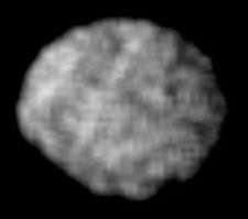 An irregularly shaped grey object slightly elongated horizontally occupies almost the whole image. Its surface shows a number of dark and white spots.