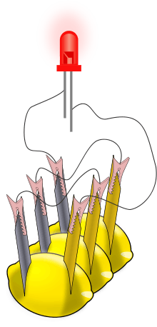 A drawing showing three lemons and a glowing red object (the LED). The LED has two lines coming out of its bottom to represent its electrical leads. Each lemon has two metal pieces stuck into it; the metals are colored differently. There are thin black lines, representing wires, connecting the metal pieces stuck into each lemon and the leads of the LED.