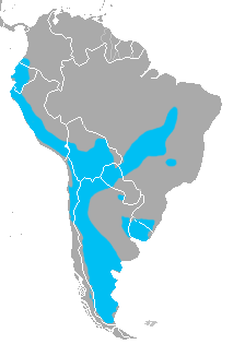 Crude map of the range of the pampas cat