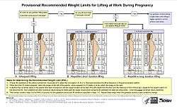 An inforgraphic showing a flow chart leading to three diagrams, each showing two human figures depicting different lengths of gestation, with a grid showing weight limits for different locations in front of the body