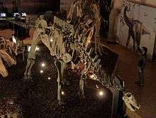 A Limaysaurus skeleton on display at the National Technical University of Athens, Greece