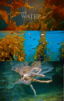 Frames from the movie