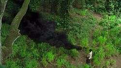 A black man stares at a cloud of black smoke in a jungle.