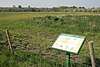 Loughborough Big Meadow