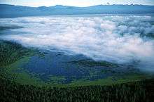 Light fog covering most of the lake and its algae blooms, surrounded by coniferous forest on all sides and sharp-pointed Mount Thielsen and neighboring snowy peaks in the distance