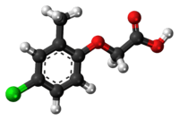 Ball-and-stick model of the MCPA molecule