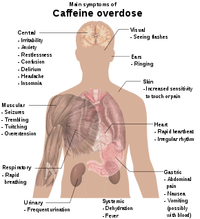 Torso of a young man with overlaid text of main side-effects of caffeine overdose.