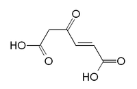 Chemical structure of 2-maleylacetic acid