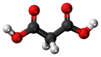 Ball-and-stick model of the malonic acid molecule