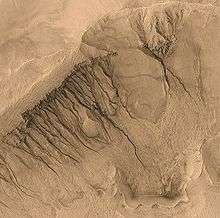 This image from Mars Global Surveyor spans a region about 1500 meters across. Gullies, similar to those formed on Earth, are visible from Newton Basin in Sirenum Terra.