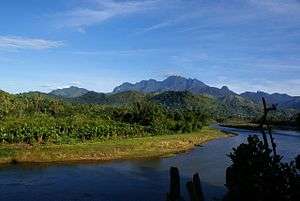 A river cuts through a forest that blankets the base of a mountain range, with a massive mountain range in the background