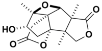 Skeletal structure of merrilactone A