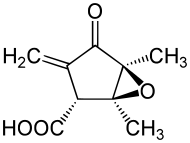 Structural formula of methylenomycin A