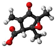 Ball-and-stick model of the methylenomycin A molecule