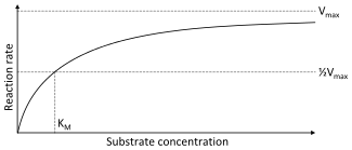 A two dimensional plot of substrate concentration (x axis) vs. reaction rate (y axis).  The shape of the curve is hyperbolic.  The rate of the reaction is zero at zero concentration of substrate and the rate asymptotically reaches a maximum at high substrate concentration.