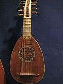 Milanese mandolin with 12 strings (6 courses)