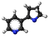 Ball-and-stick model of the myosmine molecule