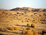 Image of sand dunes in Pakistan.