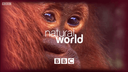 Natural World title card