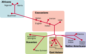 A map with five colored squares, depicting the genetic split between 18 different human groups of the world.